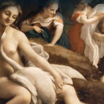 Correggio. Dall'ombra alla luce